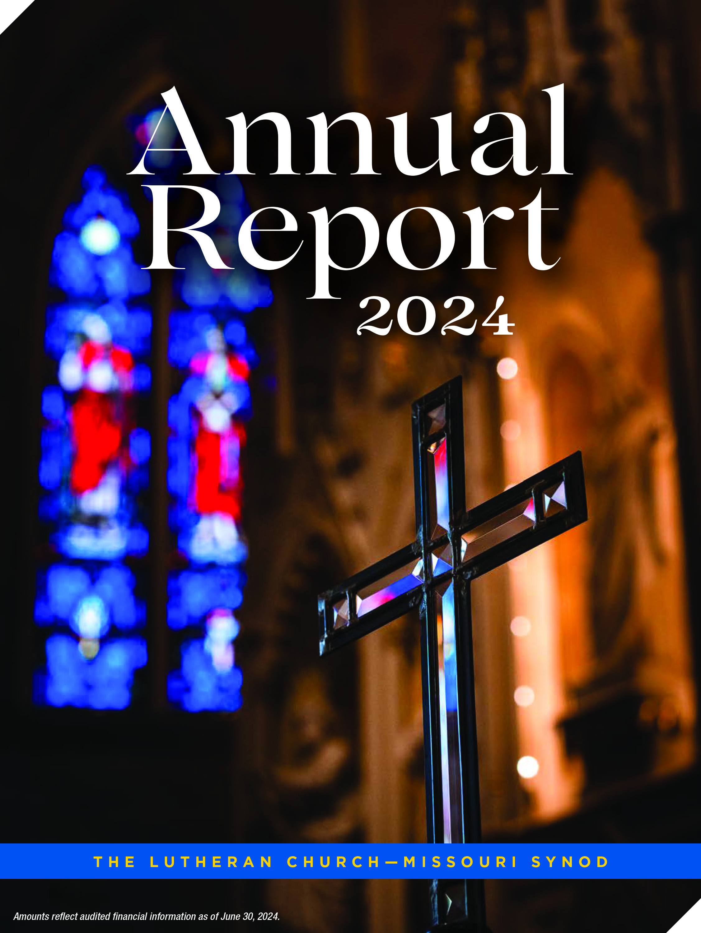 LCMS Annual Report 2024